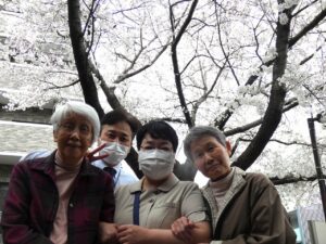 桜の木の下で（満開） 写真