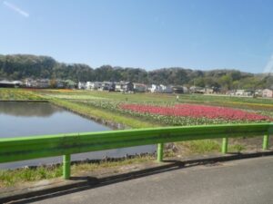 『遊びり・外出レク』 写真