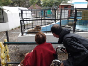 秋の日帰り旅行♬ 写真