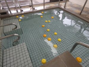 ゆず湯 写真