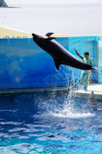 春の日帰り旅行 写真