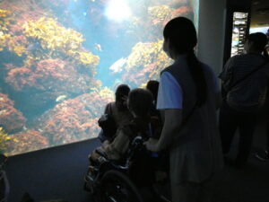 日帰り旅行② 写真