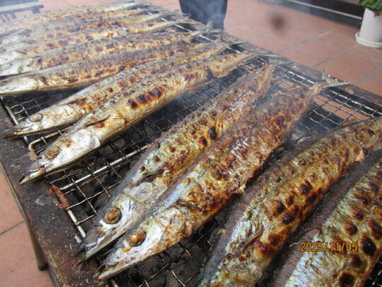 「さんま！！」 写真