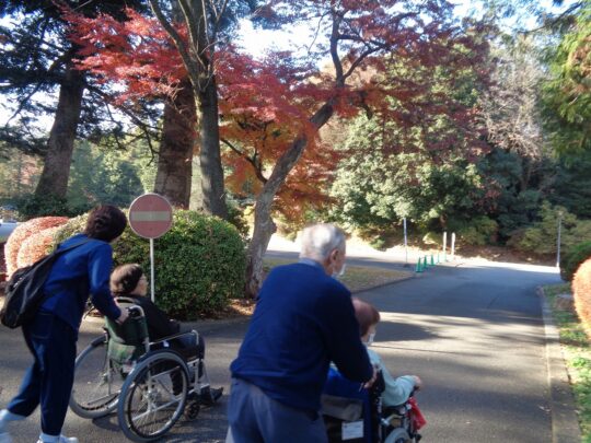 『遊びり・紅葉ドライブ＆軽食会』 写真