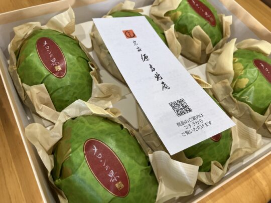 おやつクラブ【メロンゼリー】 写真