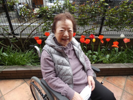 テラスの花「チューリップとネモフィラ」 写真