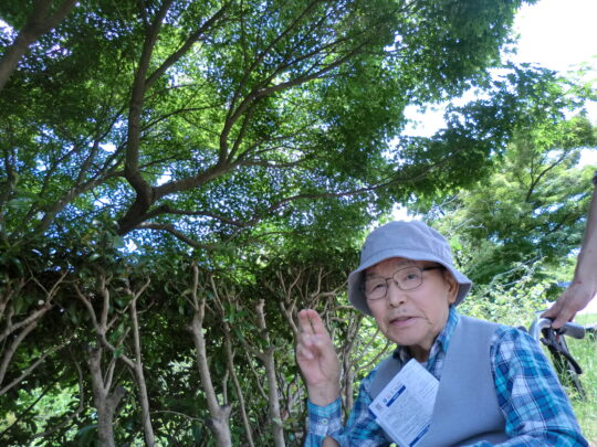 『遊びり・外出イベント』 写真