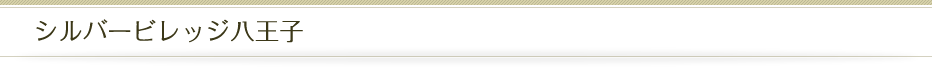 シルバービレッジ八王子