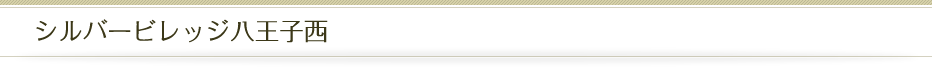 シルバービレッジ八王子西